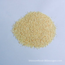 2012 Crop of Garlic Granules Granulated Garlic Garlic Powder 16-26mesh